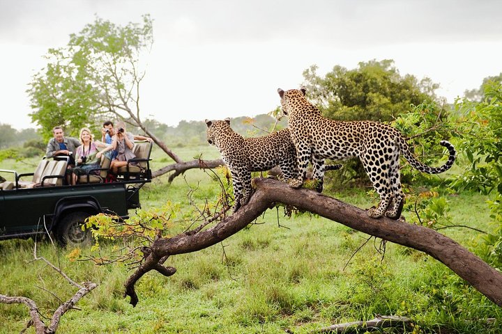 Yala Safari Day Tour